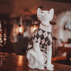 Classic Brown British Checkered Pet Pullover - Cat Clothesthemed Hoodie