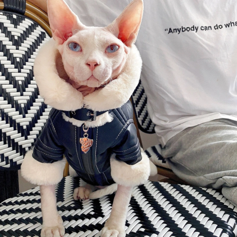 Fashion Sphynx Cat Leather Biker Jacket Fur Coat Kitten Cat Clothes Luxury Warm Costumes For Sphinx Devon Cat ropa para gato