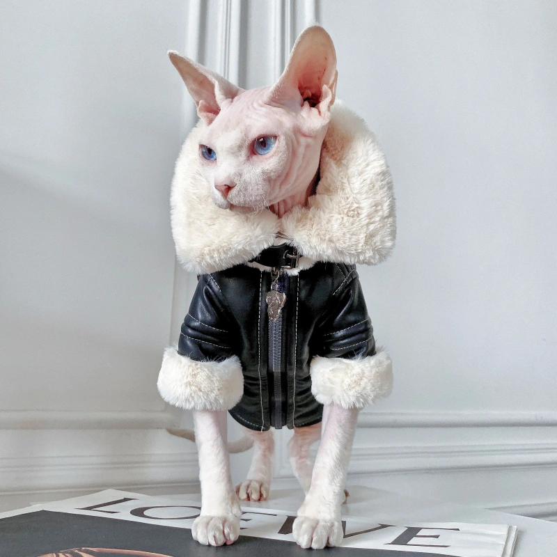 Fashion Sphynx Cat Leather Biker Jacket Fur Coat Kitten Cat Clothes Luxury Warm Costumes For Sphinx Devon Cat ropa para gato