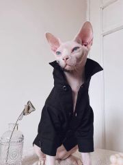 Cat Costumes Sphynx Hairless Cat Clothes Sphinx Devon Wedding Suit Pet Gentleman Handsome Cool Coat