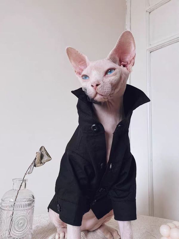 Cat Costumes Sphynx Hairless Cat Clothes Sphinx Devon Wedding Suit Pet Gentleman Handsome Cool Coat