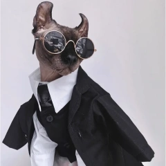 Cat Costumes Sphynx Hairless Cat Clothes Sphinx Devon Autumn Winter English Dress Wedding Suit Pet Gentleman Handsome Cool Coat