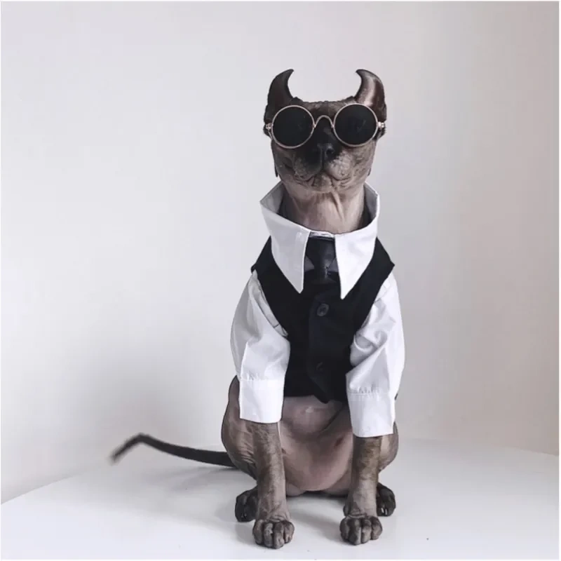 Cat Costumes Sphynx Hairless Cat Clothes Sphinx Devon Autumn Winter English Dress Wedding Suit Pet Gentleman Handsome Cool Coat