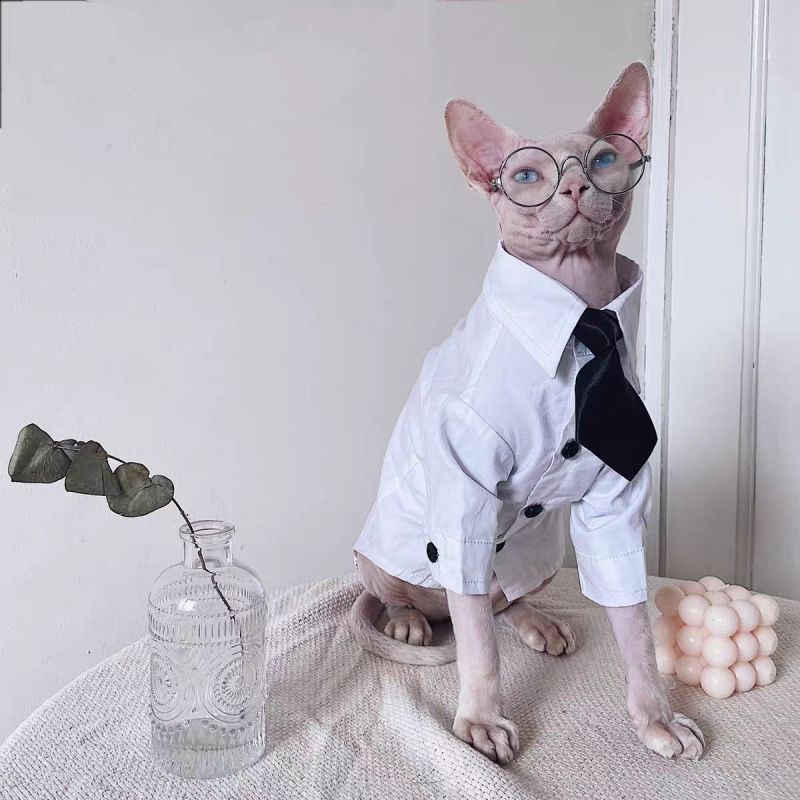 Cat Costumes Sphynx Hairless Cat Clothes Sphinx Devon Wedding Suit Pet Gentleman Handsome Cool Coat