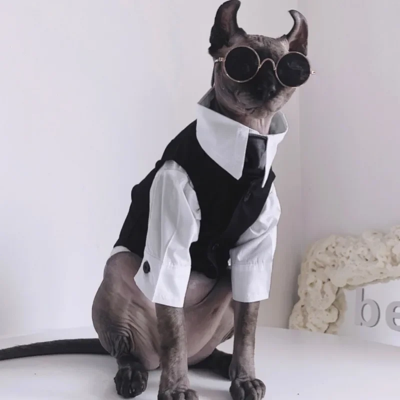 Cat Costumes Sphynx Hairless Cat Clothes Sphinx Devon Autumn Winter English Dress Wedding Suit Pet Gentleman Handsome Cool Coat