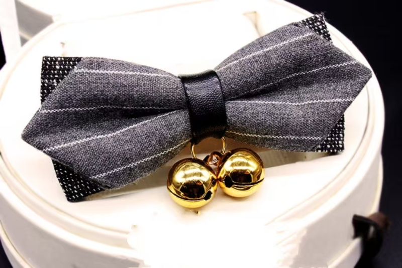 Cat safety buckle collar