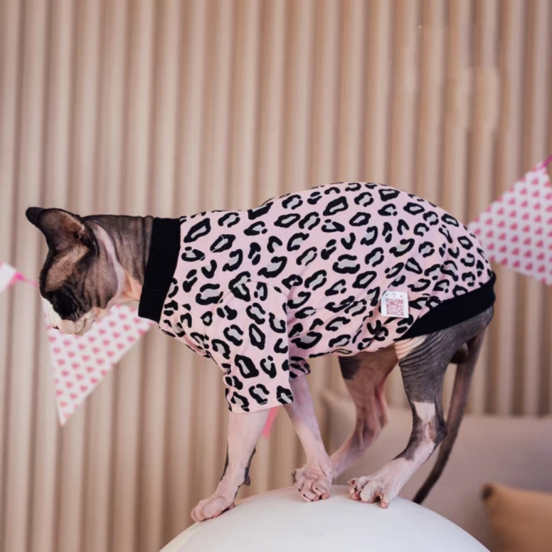 Hairless cat autumn base layer shirt