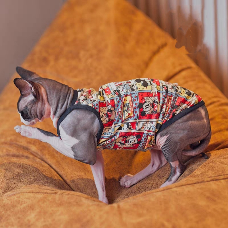 Hairless cat summer vest