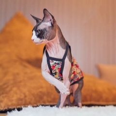 Hairless cat summer vest