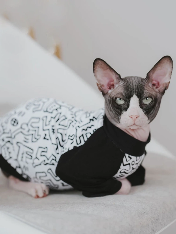 Cat Clothing Cotton Coat Elestic for Male Cat Spring Summer Sweatshirt For Kittens Soft T-shirt for Devon Rex