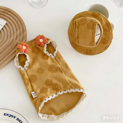 Summer Hairless Cat Vest Set