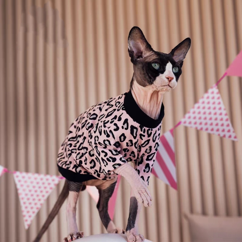 Hairless cat autumn base layer shirt