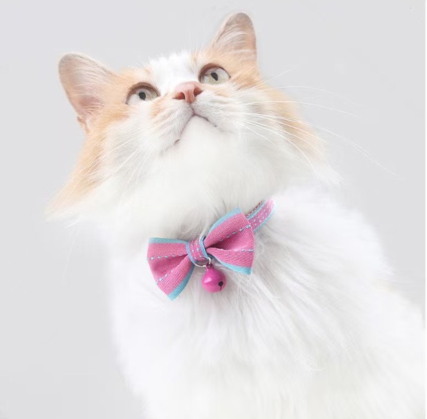 Cat safety buckle colorful collar
