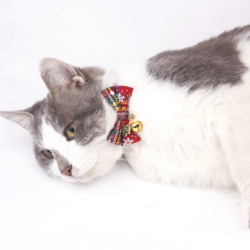 Cat safety buckle  collar