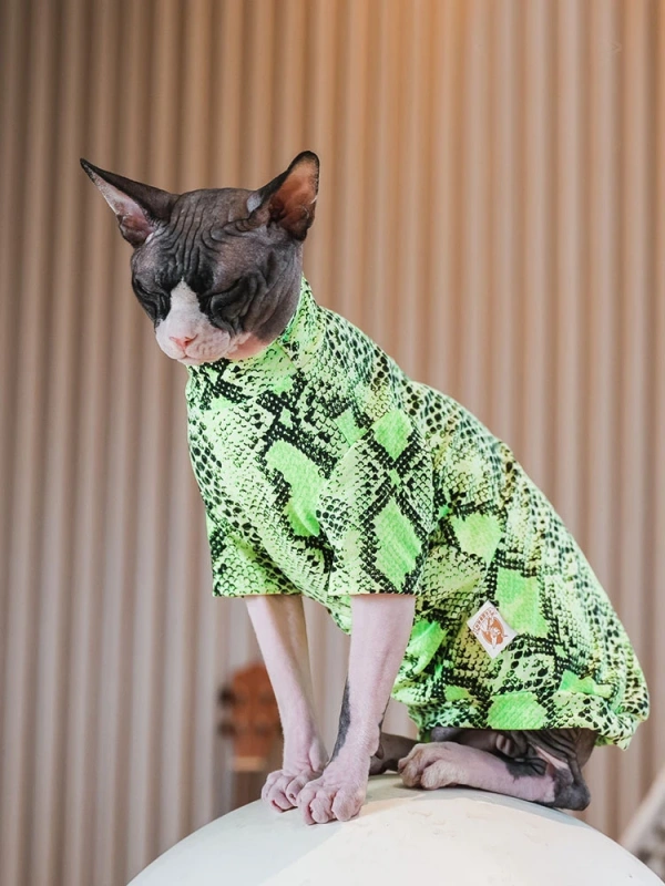 Euro-american Snakeskin Pattern Sphynx Cat Clothes Cotton T-shirt Fashion Cartoon Undercoat Devon Rex Soft Coat for Kittens