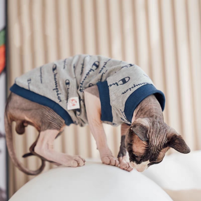 Hairless cat pure cotton vest base layer