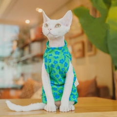 Hairless cat summer vest