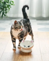 Raised Pink Ceramic Cat Food Bowl 15° Tilted Design Anti-Vomiting Backflow Prevention for Cats Kittens Pet Bowls Feeders Pets