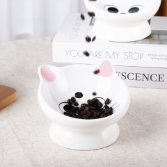 Ceramic Cat Food Bowl 15° Tilted Design  Pet Bowls
