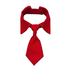 Pet bow tie accessories