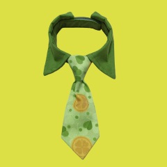 Pet bow tie accessories