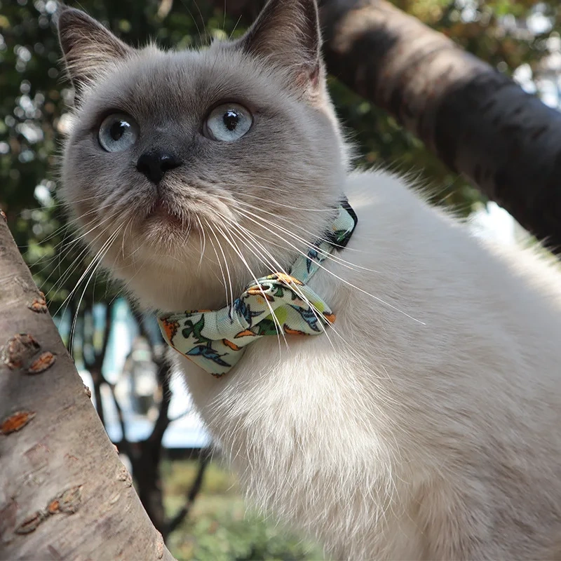Pet Bow Collar With Kitty Safety Buckle Universe Series Puppy Dogs Cat Collars