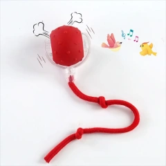 Automatic Smart Cat Toys Fast Rolling Rechargeable Dog Cat Training Ball Indoor Playing with Bird Sounds Self Moving Balls Toys