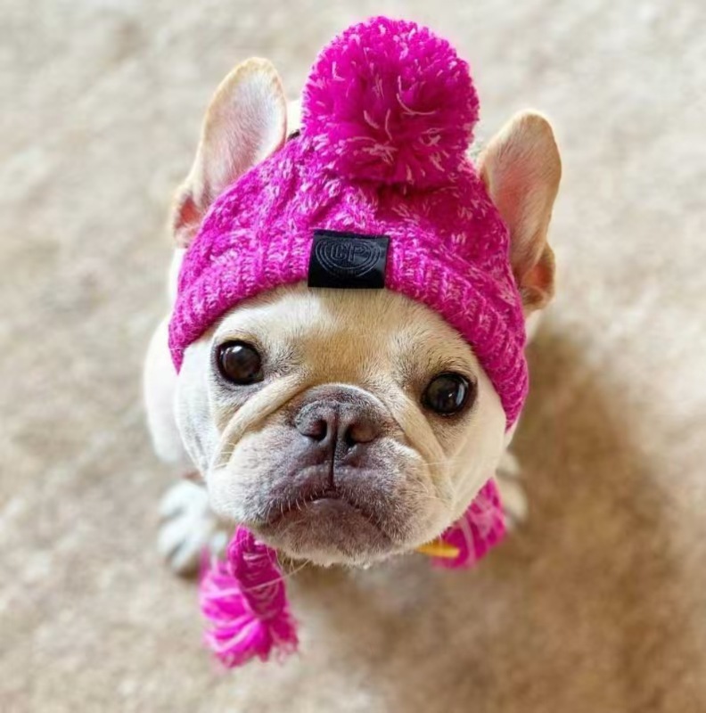 Winter Warm Dog Hats Windproof Knitting French Bulldog Hat For Dogs