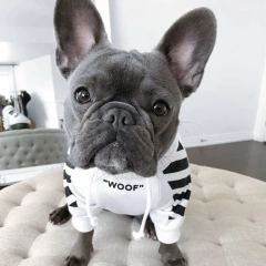 Fashion Dog Hoodie Winter Pet Dog Clothes For Dogs Coat Jacket Cotton Ropa Perro French Bulldog Clothing For Dogs Pets Clothing