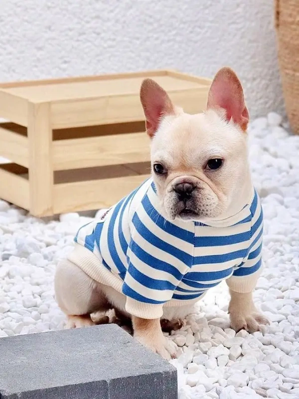 Spring Autumn Plaid Sweatirt for Schnauzer Bulldog Pet Dogs Casual Breathable Durable Comfortable Outdoor Dog Clothes