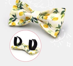 Personalized Cat Collar with Bell Name Custom Small Dog Collar Lead Rope Bow tie for Puppy Kittens Necklace Cat Leash for Walk