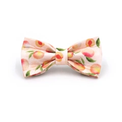 Personalized Cat Collar with Bell Name Custom Small Dog Collar Lead Rope Bow tie for Puppy Kittens Necklace Cat Leash for Walk