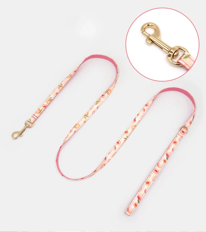 Personalized Cat Collar with Bell Name Custom Small Dog Collar Lead Rope Bow tie for Puppy Kittens Necklace Cat Leash for Walk
