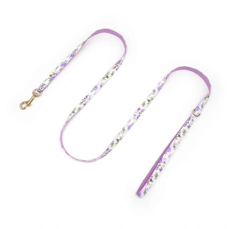 Personalized Cat Collar with Bell Name Custom Small Dog Collar Lead Rope Bow tie for Puppy Kittens Necklace Cat Leash for Walk