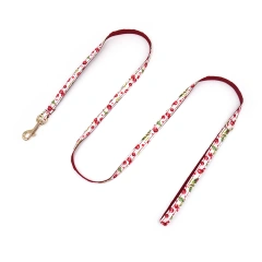 Personalized Cat Collar with Bell Name Custom Small Dog Collar Lead Rope Bow tie for Puppy Kittens Necklace Cat Leash for Walk