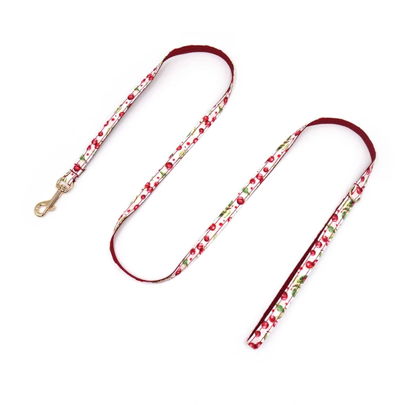 Personalized Cat Collar with Bell Name Custom Small Dog Collar Lead Rope Bow tie for Puppy Kittens Necklace Cat Leash for Walk