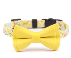 Cute cat safety collar