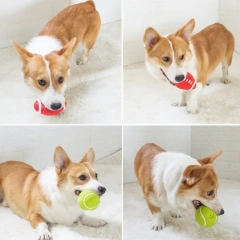 Durably Squeak Toys for Dogs Rugby and Tennis Ball Styles Interactive and Entertaining with Sound Features for Boredom Relief