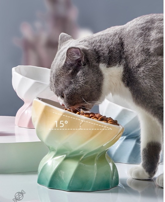 Ceramic cat bowl for pets