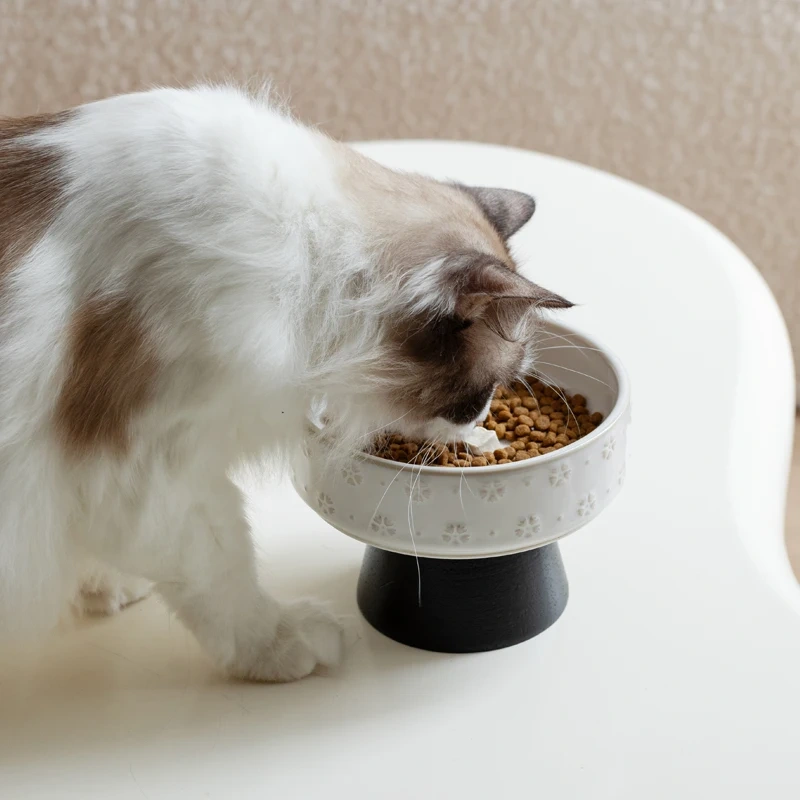 Shamitao Eco-Friendly Durable Ceramic Pet Food Bowls with Wooden Stand 2 in 1 Protective Cervical Vertebrae Split for Cats Dogs