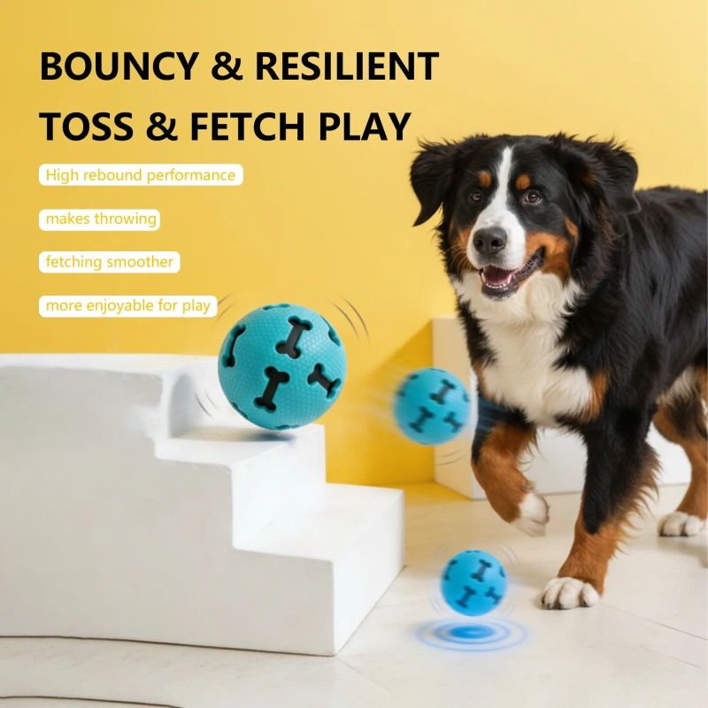 Nunbell Durable Dog Toys TPR Hollow Bone & Paw Chew with Squeaker for Teeth Cleaning and Indoor Use