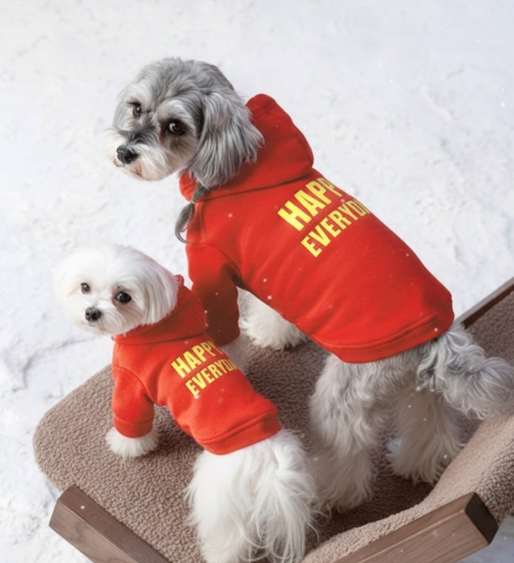 Dog autumn and winter clothes