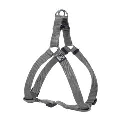 Luxury Fashion Lace Scarf Dog Harness Set Safety Belt Rope