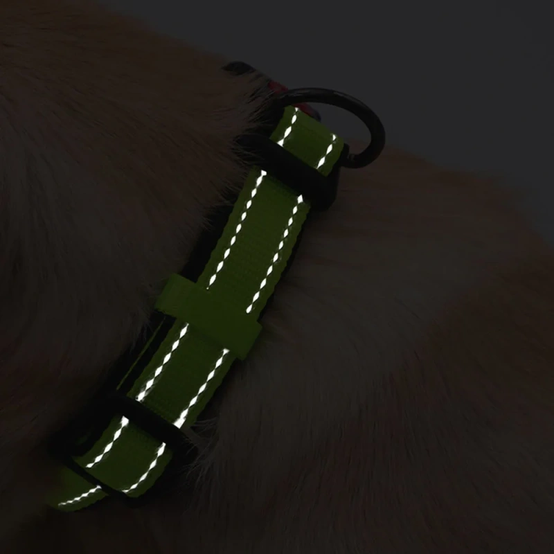 Reflective Padded Dog Collar Durable Strong Double D Ring Safety Nylon Pet Dog Collars Adjustable for Small Medium Large Dogs