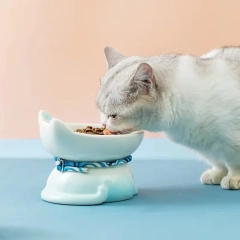 Hot Sale Ceramic Cat Bowl Eco-friendly Solid Design Neck Support Anti-tip Elevated Sloping Edge Small Pet Feeding Plate Food