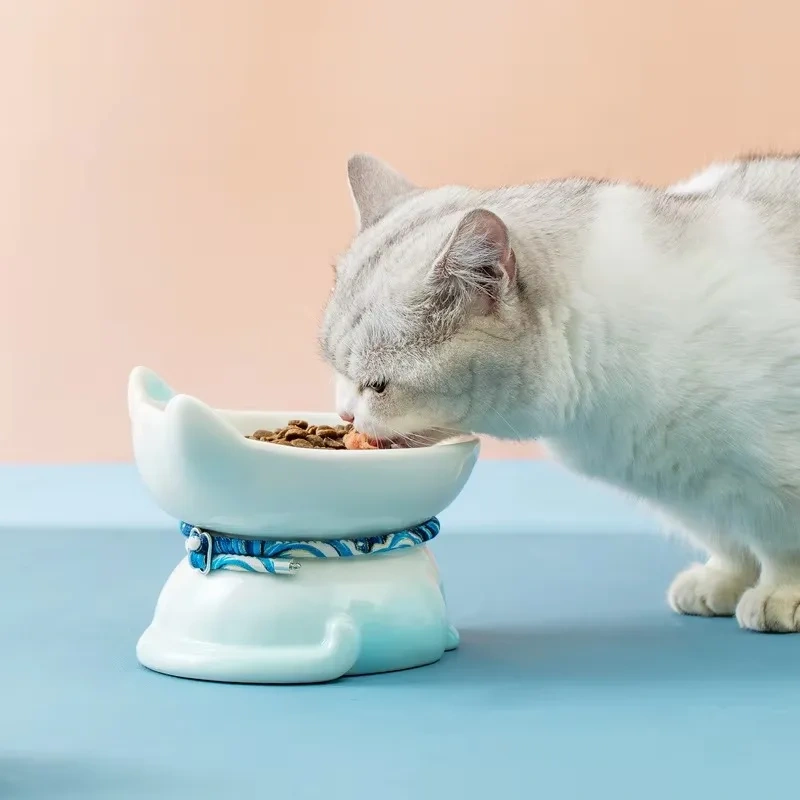 Hot Sale Ceramic Cat Bowl Eco-friendly Solid Design Neck Support Anti-tip Elevated Sloping Edge Small Pet Feeding Plate Food