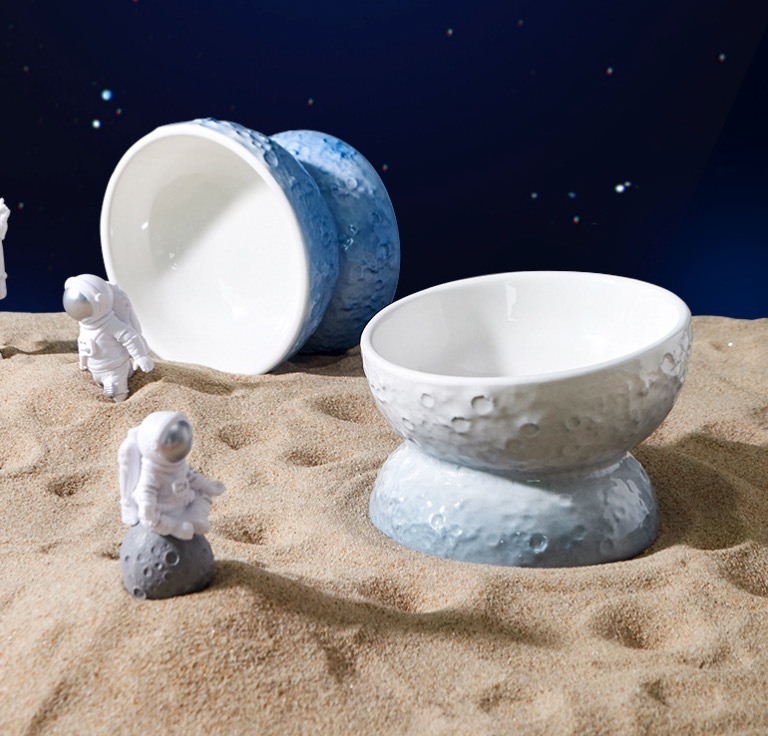 Cat Planet Bowl