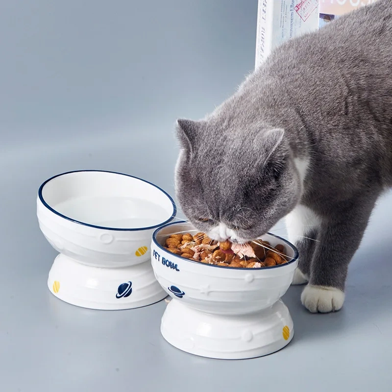 New Arrival Eco-Friendly PET Ceramic Tall Cat Bowl Durable Oval Shape Anti-Vomiting Tilted Elevated Pet Food Bowl