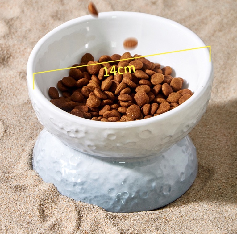Cat Planet Bowl
