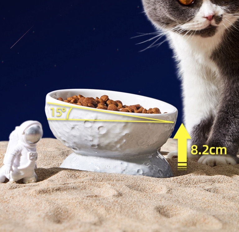 Cat Planet Bowl